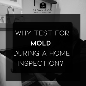 Why Test For Mold During a Home Inspection